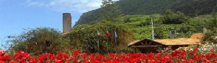 Arco-sao-Jorge